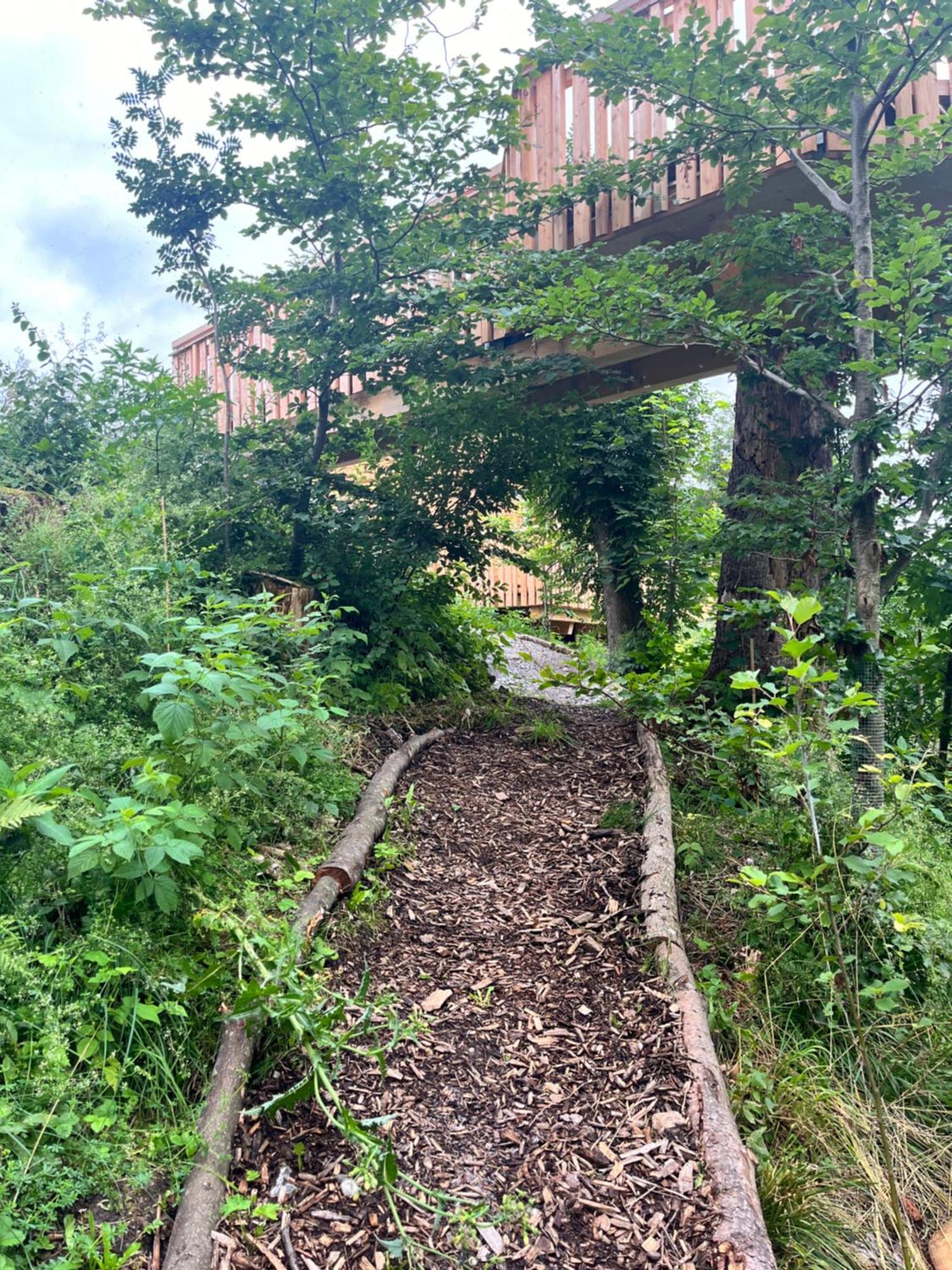 Wald Ist Zukunft Hotell Bernbeuren Eksteriør bilde