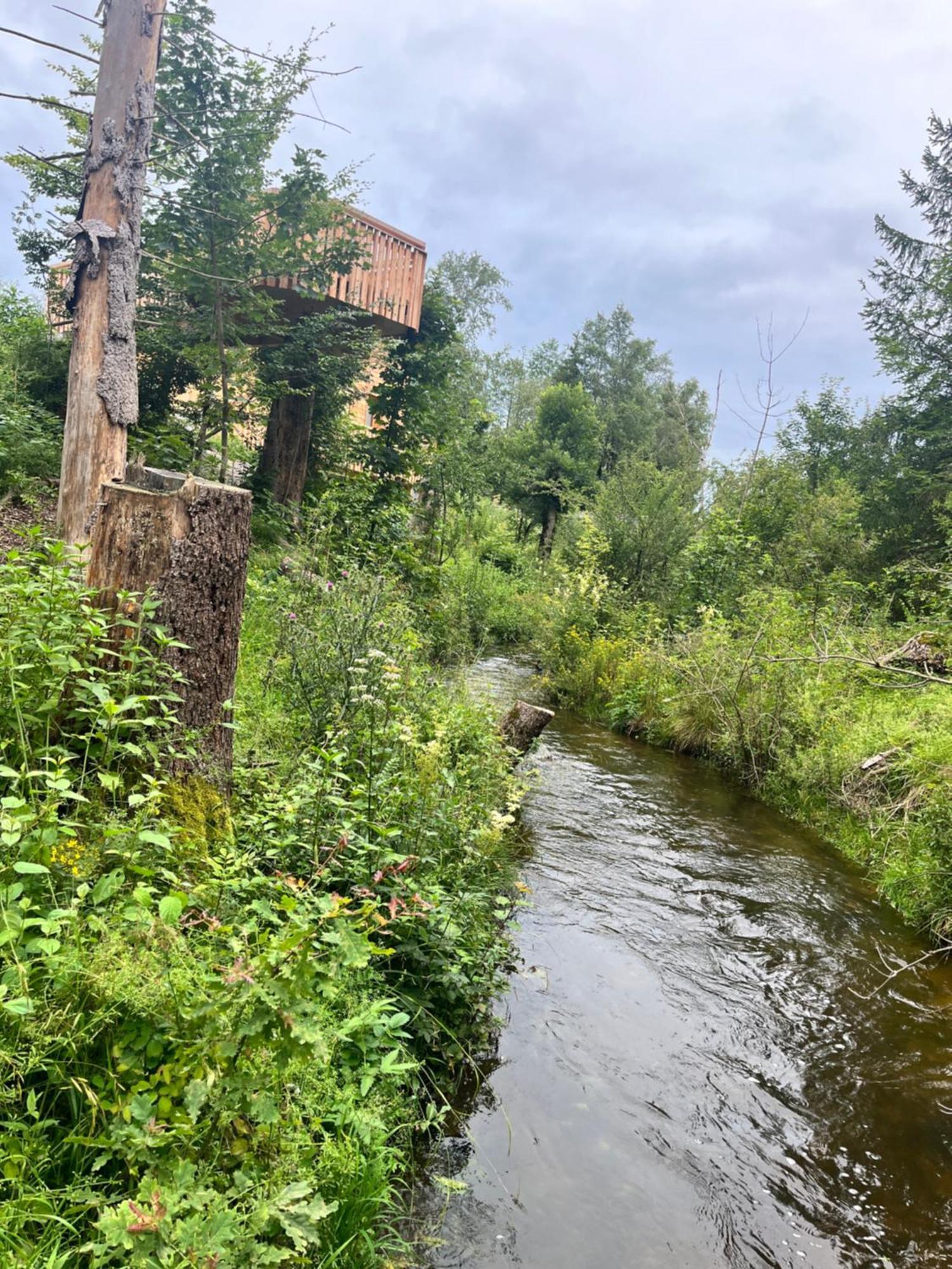 Wald Ist Zukunft Hotell Bernbeuren Eksteriør bilde