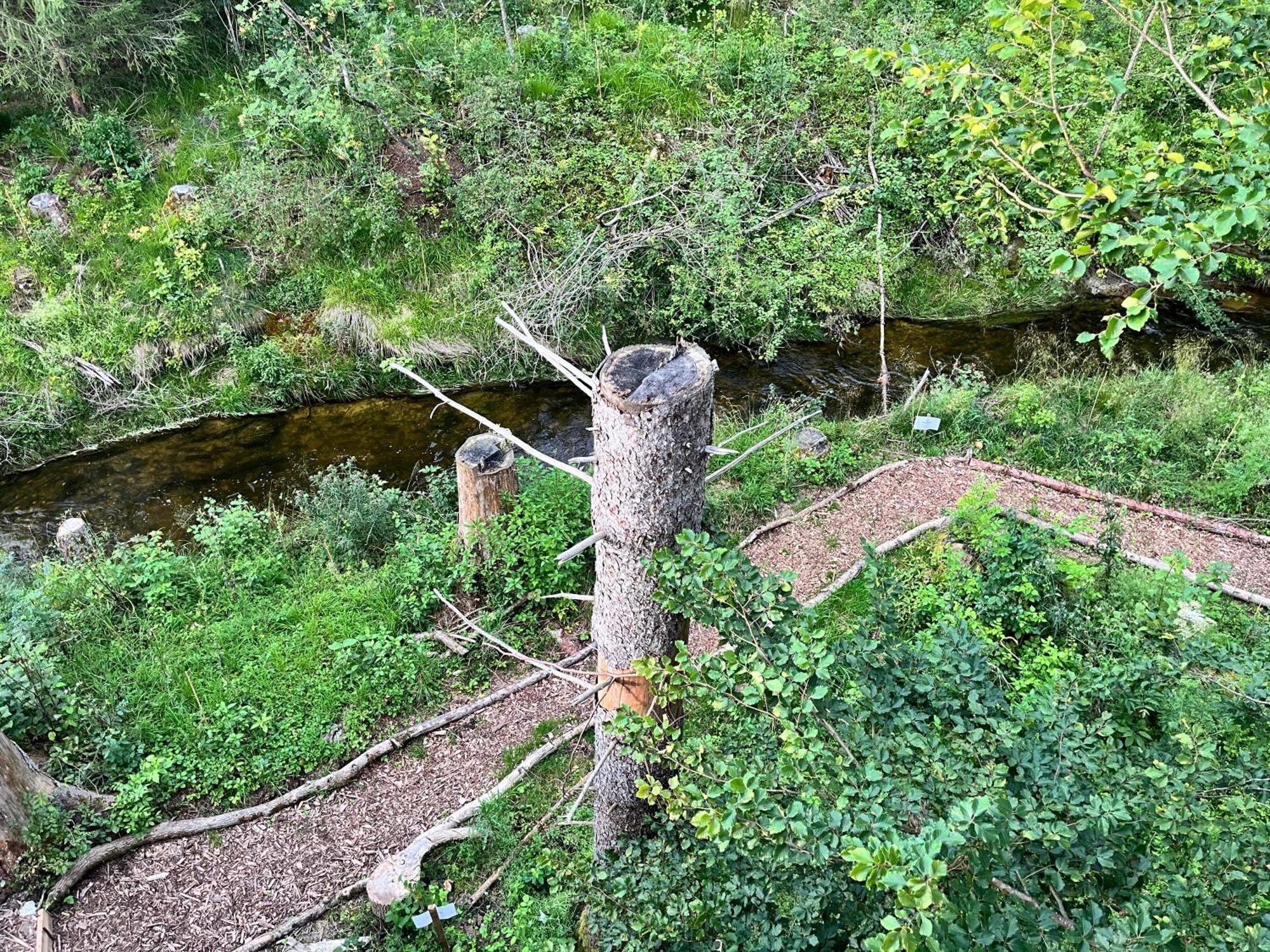 Wald Ist Zukunft Hotell Bernbeuren Eksteriør bilde