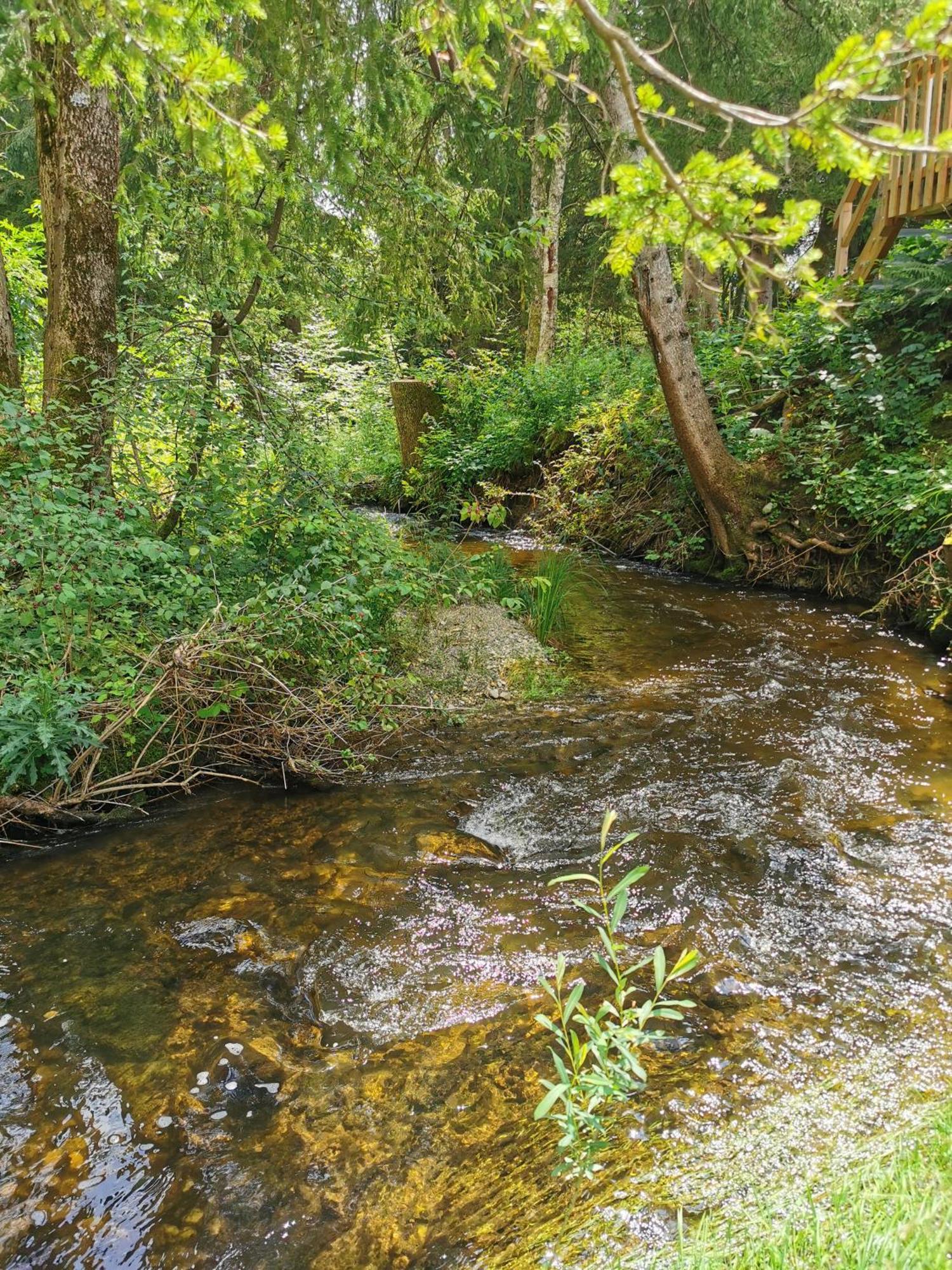 Wald Ist Zukunft Hotell Bernbeuren Eksteriør bilde