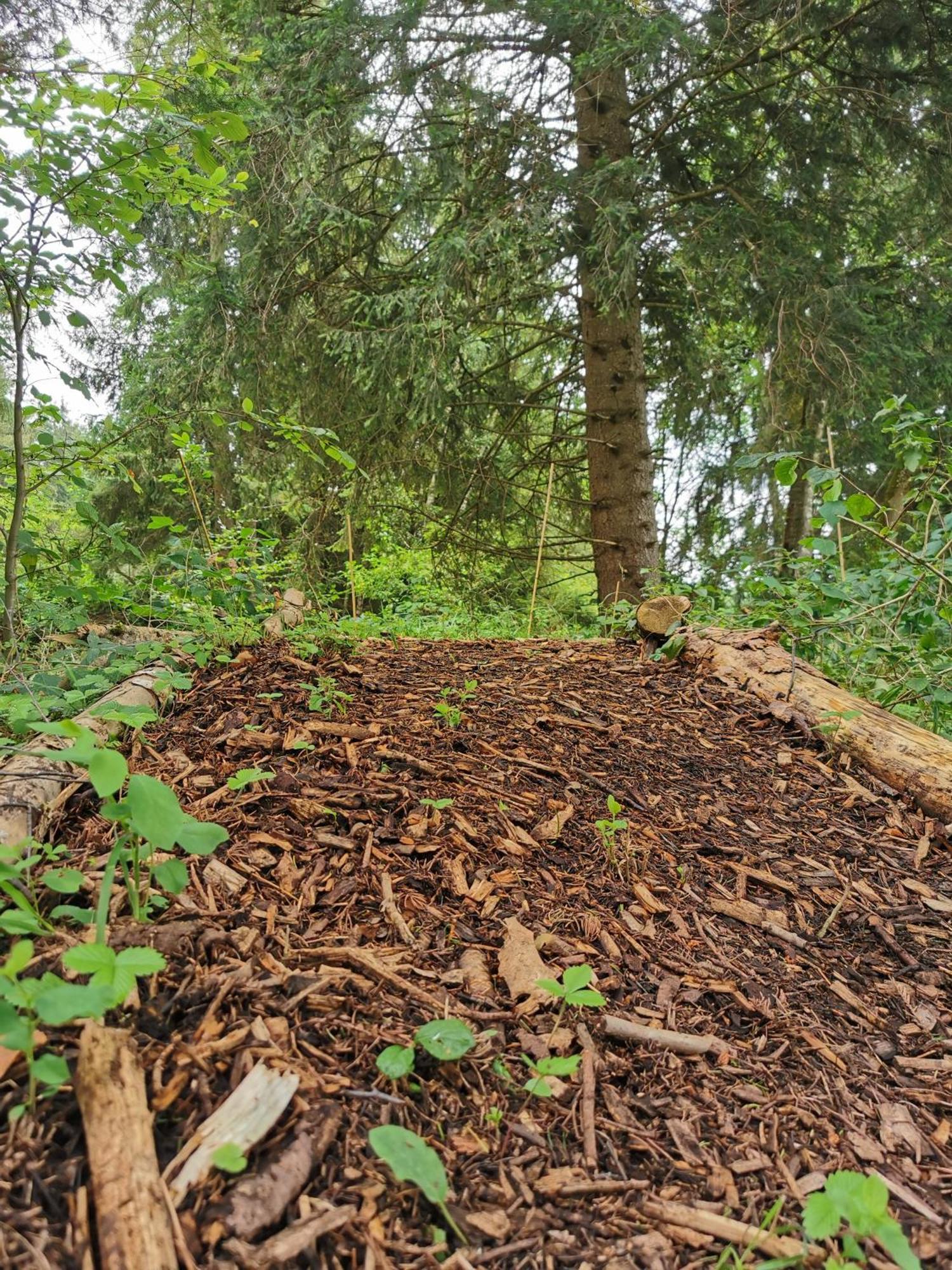 Wald Ist Zukunft Hotell Bernbeuren Eksteriør bilde
