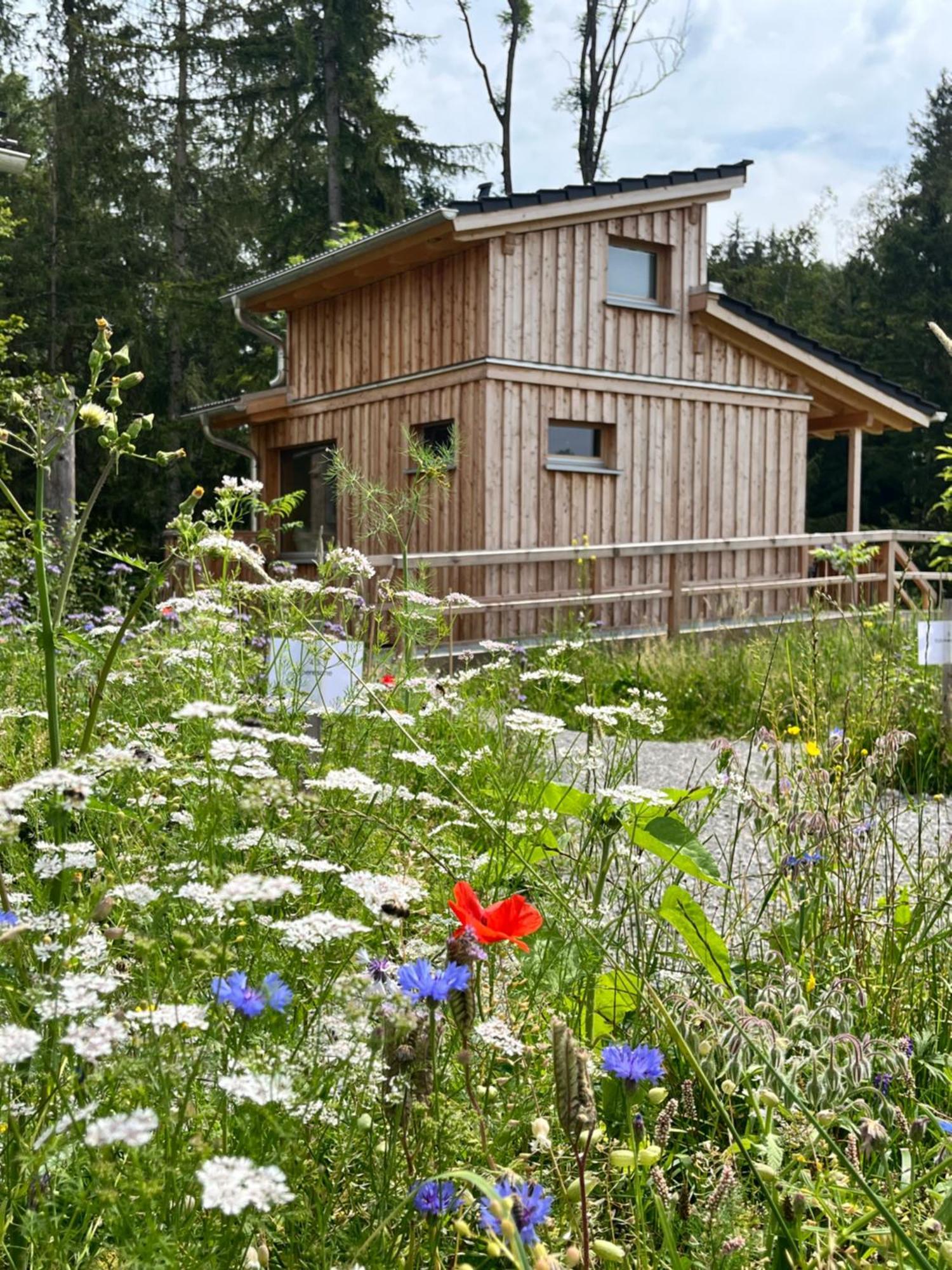 Wald Ist Zukunft Hotell Bernbeuren Eksteriør bilde